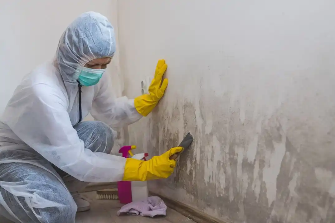 water damage restoration service Summit at Bulverde Creek